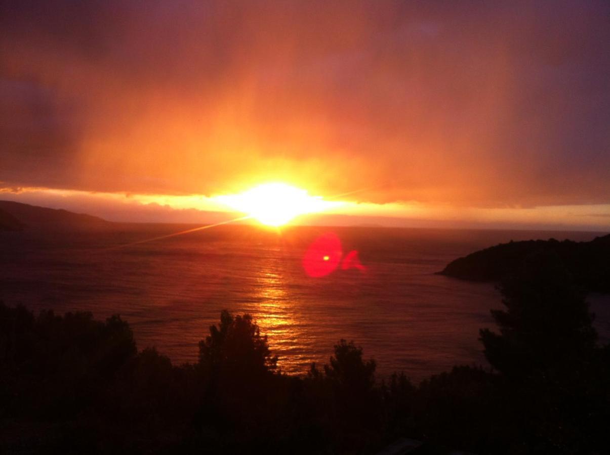 Bed and Breakfast La Collina Sul Mare Marina di Campo Exterior foto
